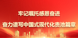 牢記囑托感恩奮進(jìn)奮力譜寫中國式現(xiàn)代化貴池篇章